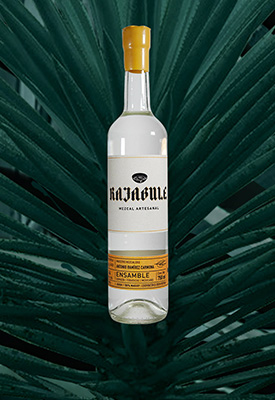 Horizonte Sustentable - Espadín | Mexicano 2016 Jump Mezcal Rajabule ensamble espadin mexicano tobasiche navegacion null