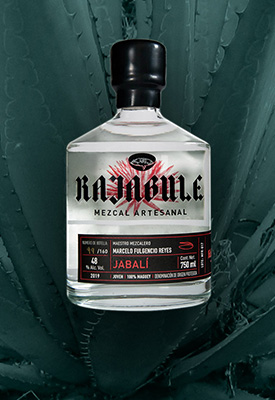 Horizonte Sustentable - Espadín | Mexicano 2016 Jump Mezcal Rajabule navegacion null