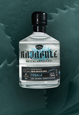 Horizonte Sustentable - Espadín | Mexicano 2016 Jump Mezcal Rajabule tobala navegacion null
