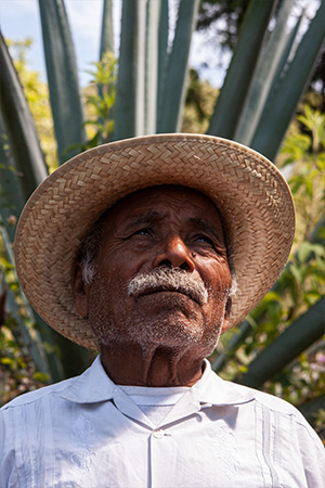 Mezcal-artesanal-maestro-mezcalero-fulgencio-reyes-02 Horizonte Sustentable - Arroqueño 2019 Mezcal artesanal maestro mezcalero fulgencio reyes 02