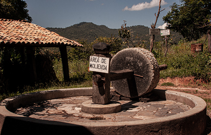 Mezcal-artesanal-palenque-de-la-manana-01 Horizonte Sustentable - Arroqueño 2019 Mezcal artesanal palenque de la manana 01