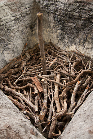 Mezcal-artesanal-proceso-horno-palenque-de-la-manana-05 Horizonte Sustentable - Arroqueño 2019 Mezcal artesanal proceso horno palenque de la manana 05