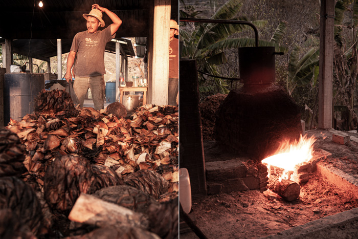 Rajabule-mezcal-artesanal-sustentable-palenque-el-agricultor-1 Horizonte Sustentable - Barril 2022 Rajabule mezcal artesanal sustentable palenque el agricultor 1