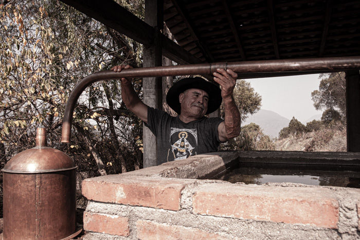 Rajabule-mezcal-artesanal-sustentable-proceso-el-vainillo-4 Horizonte Sustentable - Espadín | Tobasiche | Mexicano 2016 Rajabule mezcal artesanal sustentable proceso el vainillo 4