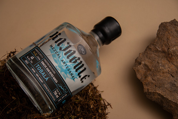 Rajabule-mezcal-artesanal-sustentable-tobala-escena4 Horizonte Sustentable - Tobalá 2022 Rajabule mezcal artesanal sustentable tobala escena4