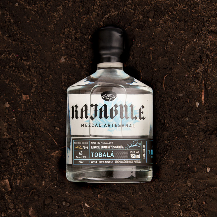 rajabule-mezcal-artesanal-sustentable-tobala-escena6 Horizonte Sustentable - Tobalá 2022 rajabule mezcal artesanal sustentable tobala escena6