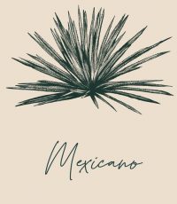 magey-mexicano-verde-con-textos